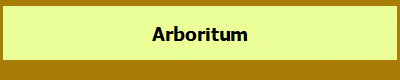 Arboritum