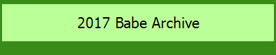 2017 Babe Archive